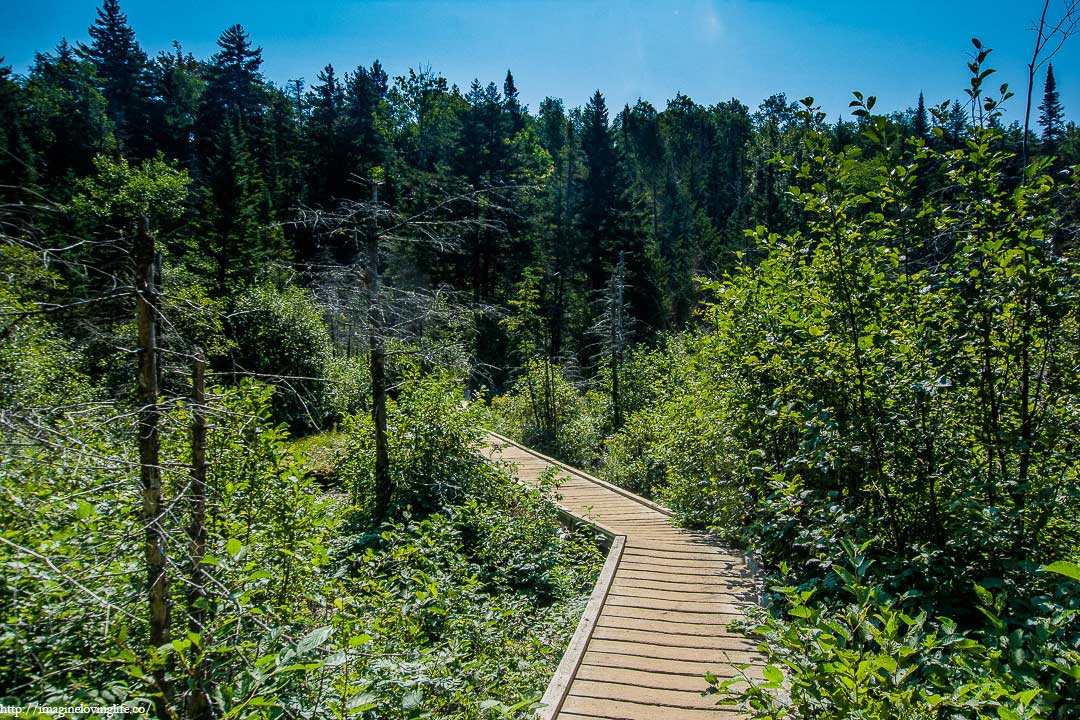 algonquin trailhead